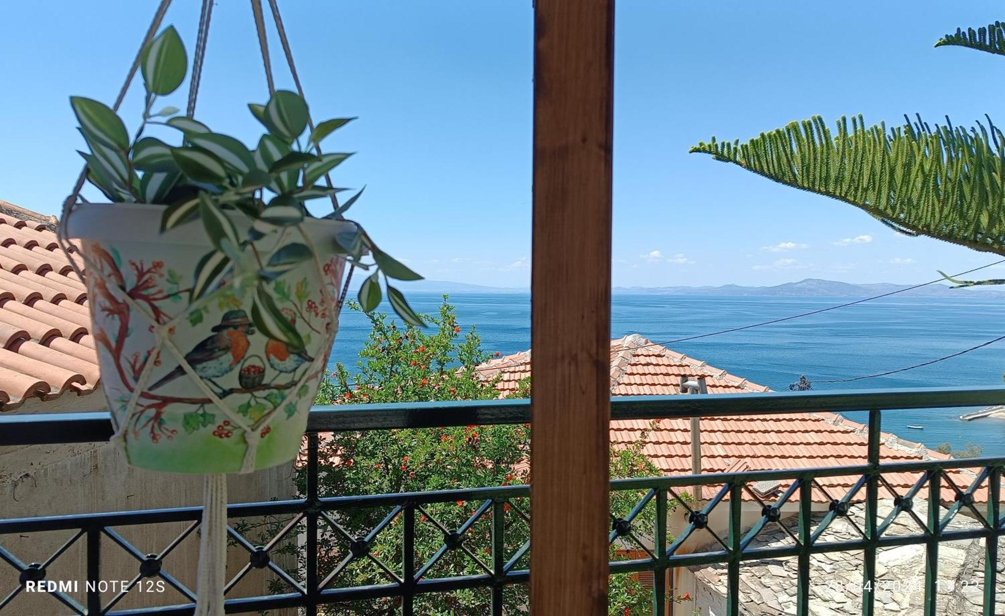 Mesonisi Με Υπέροχη Θέα Στον Παγασητικό!! Afissos Exterior foto